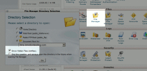 how-to-show-hidden-files-manager